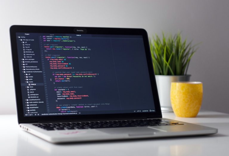 Web Developer Agency Near Me